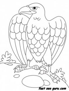 White-tailed Eagle coloring #13, Download drawings