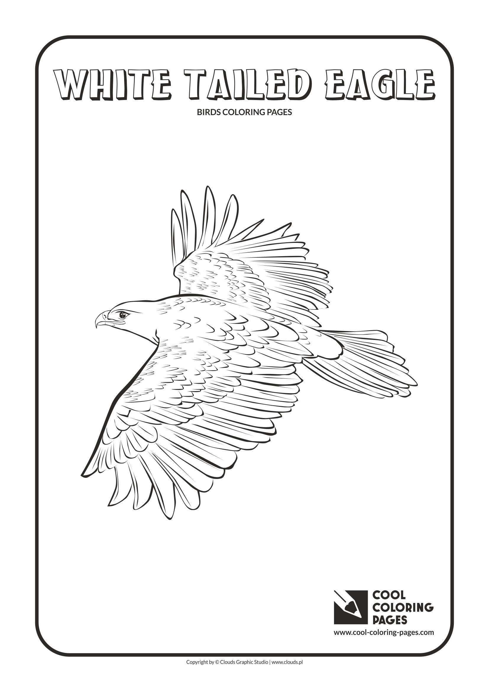 White-tailed Eagle coloring #17, Download drawings