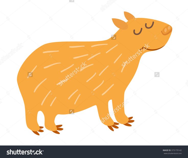 Whopping Wombat clipart #5, Download drawings