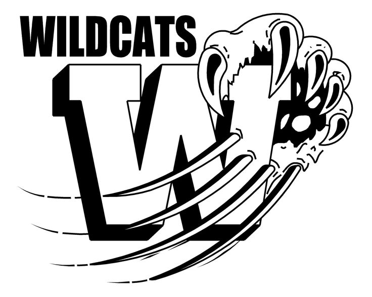 Wildcat clipart #5, Download drawings