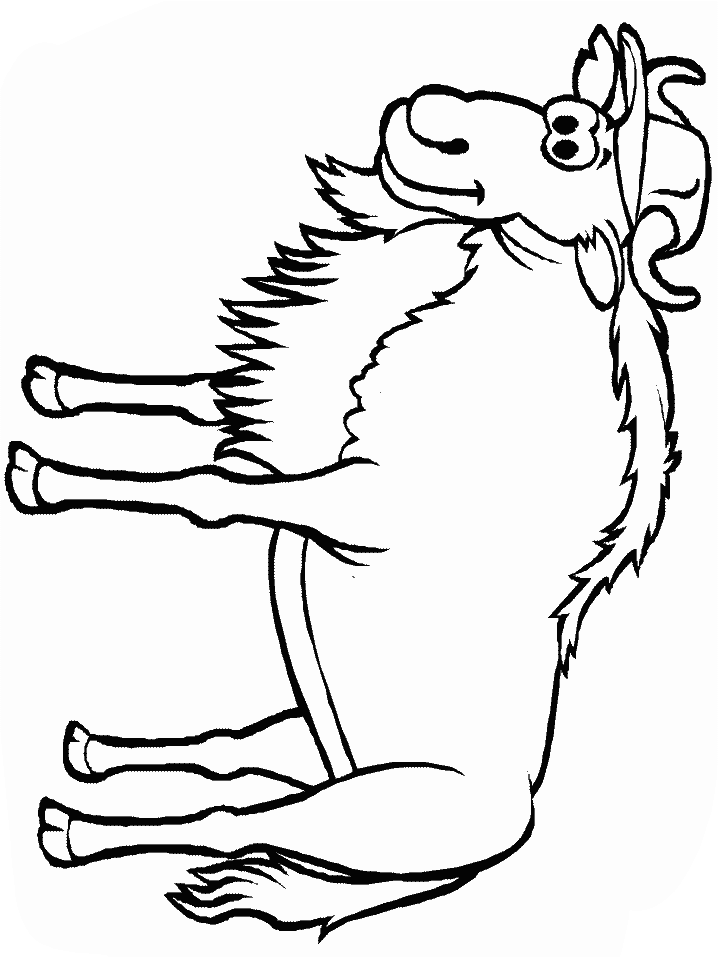 Wildebeest coloring #16, Download drawings