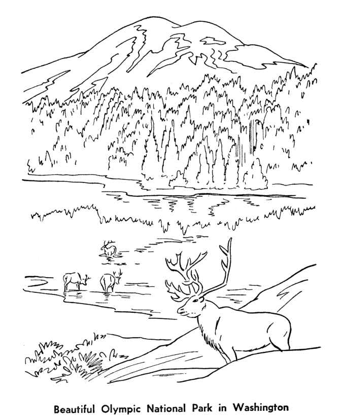 Denali National Park coloring #18, Download drawings