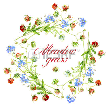 Wildflower clipart #8, Download drawings