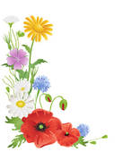 Wildflower clipart #1, Download drawings
