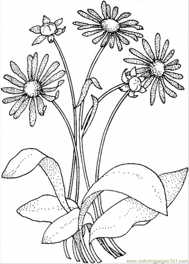 Wildflower coloring #13, Download drawings