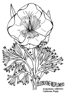 Wildflower coloring #14, Download drawings