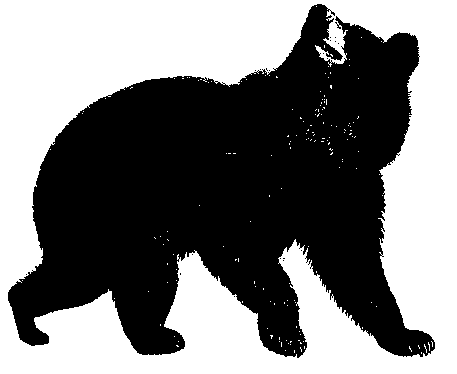 Wildlife clipart #3, Download drawings