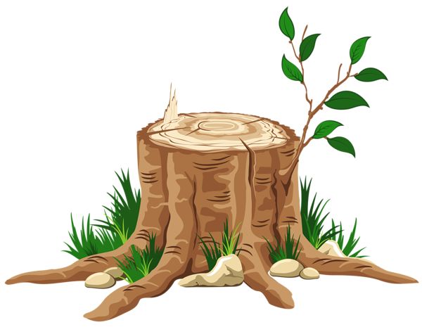 Wilson's Stump clipart #6, Download drawings
