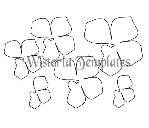 Wisteria svg #20, Download drawings