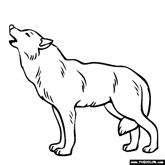 Gray Wolf coloring #20, Download drawings