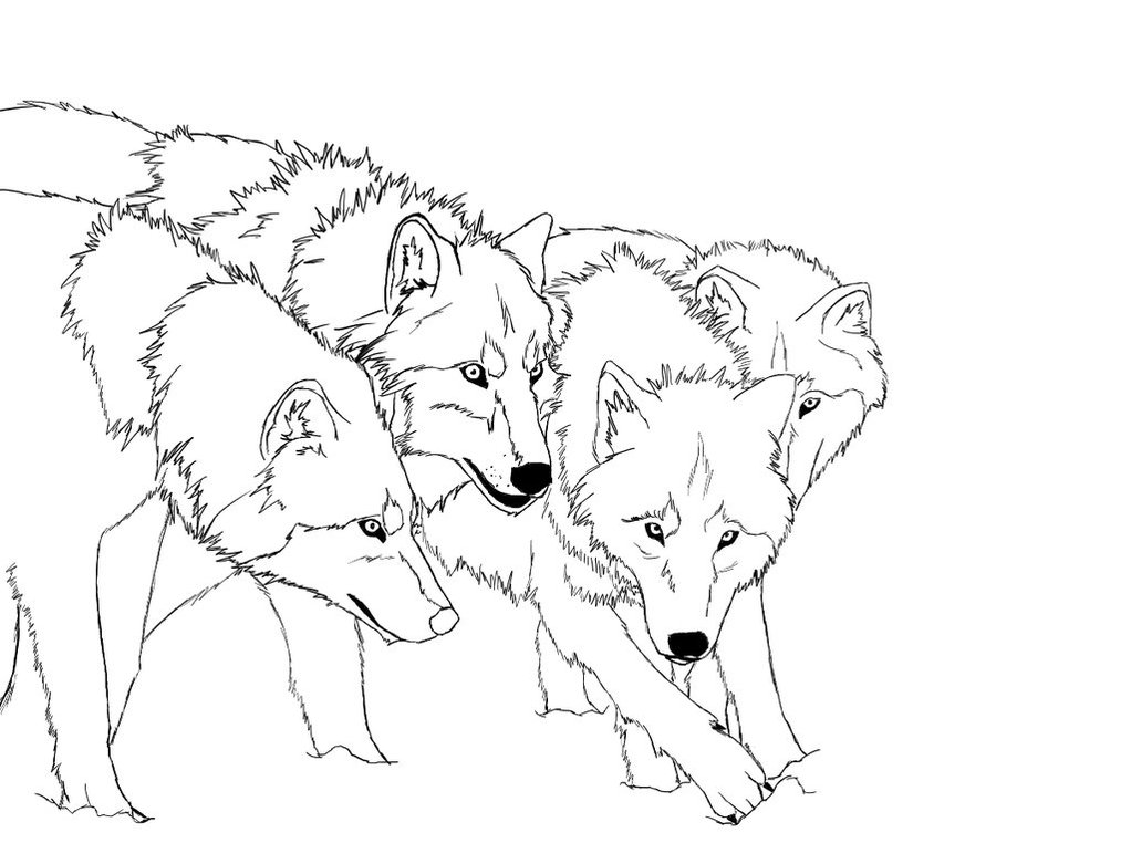 Wolf coloring #9, Download drawings