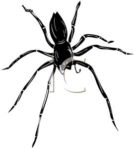 Wolf Spider clipart #7, Download drawings