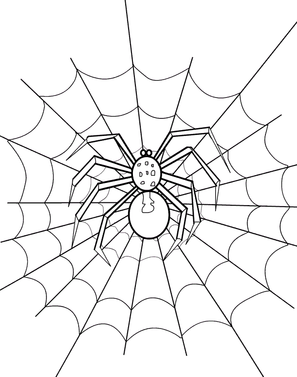 Wolf Spider coloring #7, Download drawings