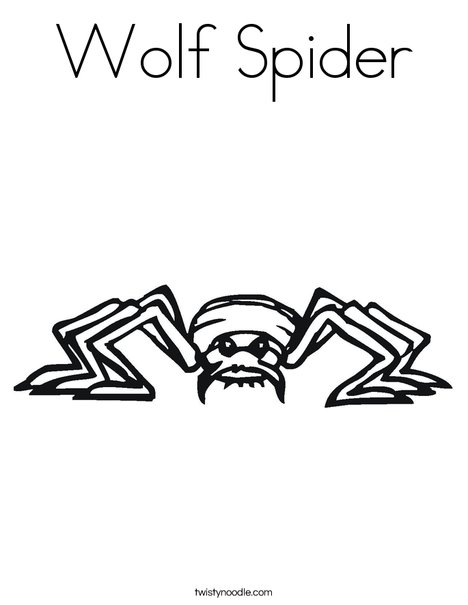 Wolf Spider coloring #19, Download drawings