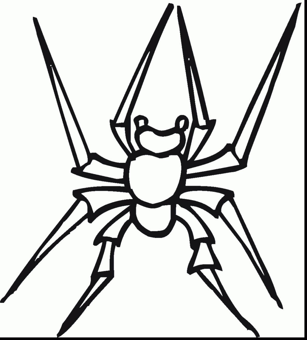 Wolf Spider coloring #4, Download drawings