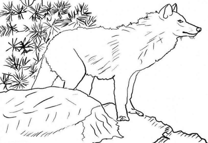 Wolfdog coloring #17, Download drawings