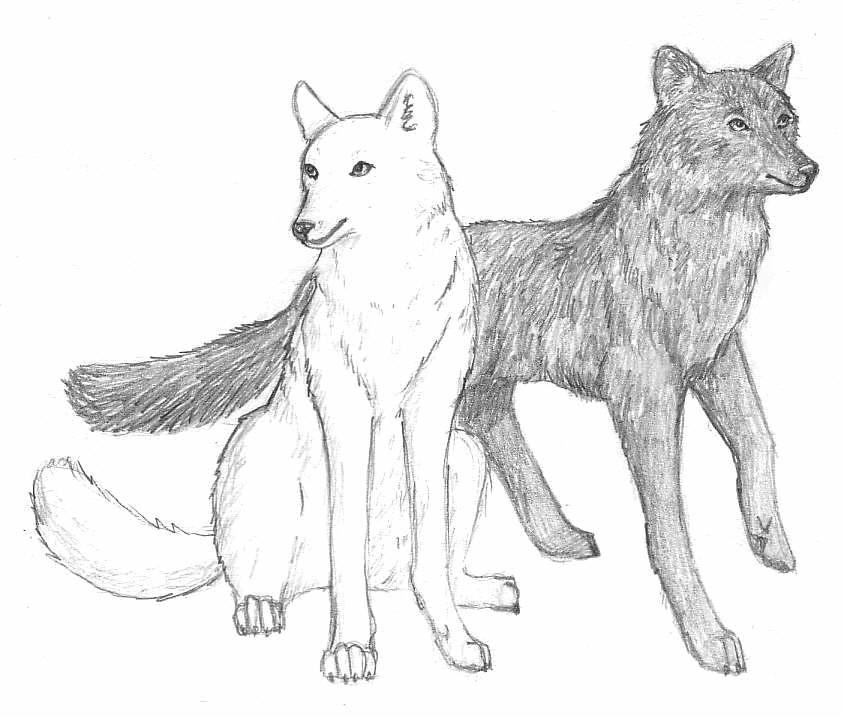 Wolfdog coloring #9, Download drawings