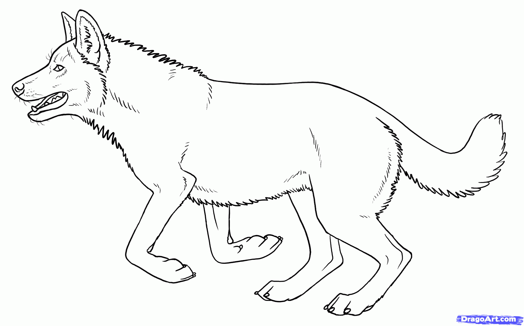 Wolfdog coloring #11, Download drawings