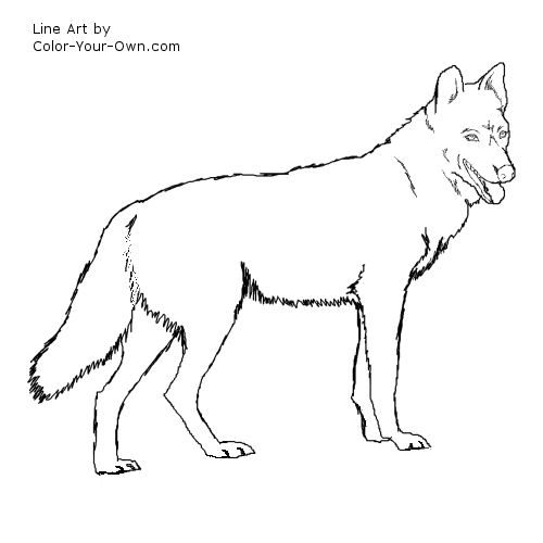 Wolfdog coloring #20, Download drawings