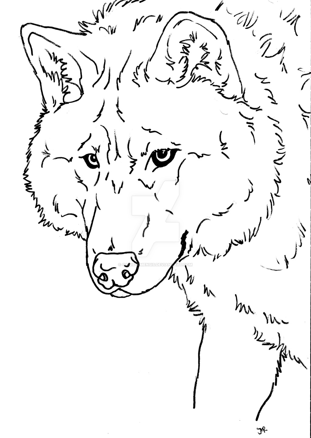 Wolfdog coloring #18, Download drawings
