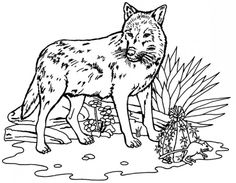 Wolfdog coloring #12, Download drawings
