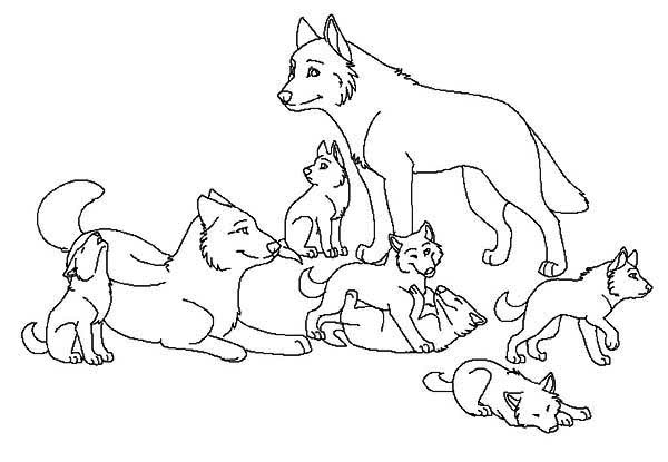 Wolfdog coloring #13, Download drawings