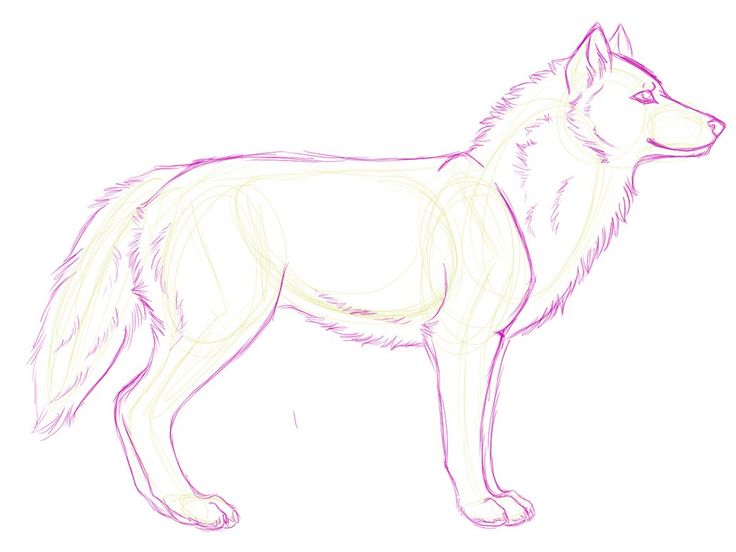 Wolfdog svg #10, Download drawings
