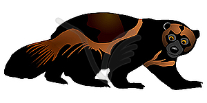 Wolverine clipart #4, Download drawings