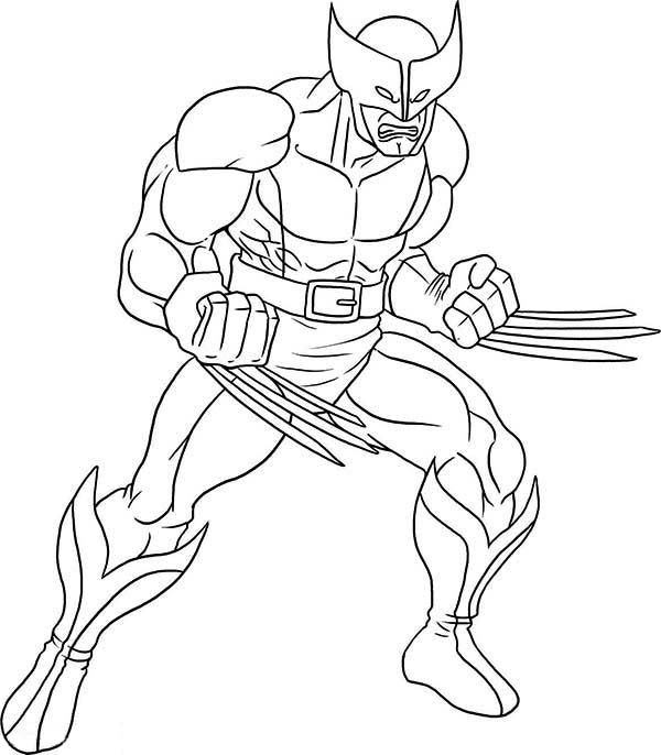 Wolverine coloring #13, Download drawings