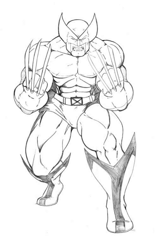 Wolverine coloring #4, Download drawings