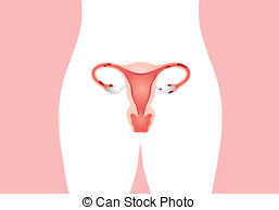 Womb clipart #6, Download drawings