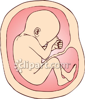 Womb clipart #17, Download drawings