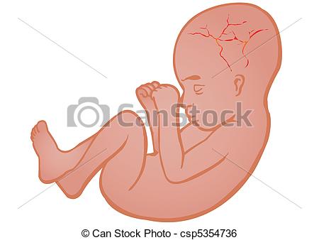 Womb clipart #13, Download drawings