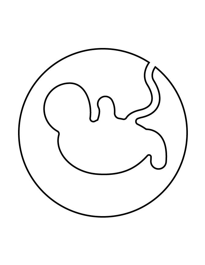 Womb coloring #2, Download drawings