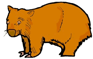 Wombat clipart #4, Download drawings