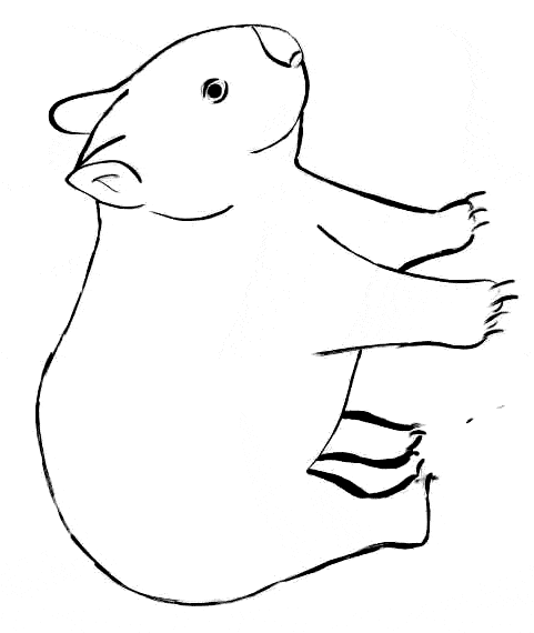 Wombat coloring #17, Download drawings