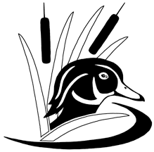 Wood Duck clipart #13, Download drawings