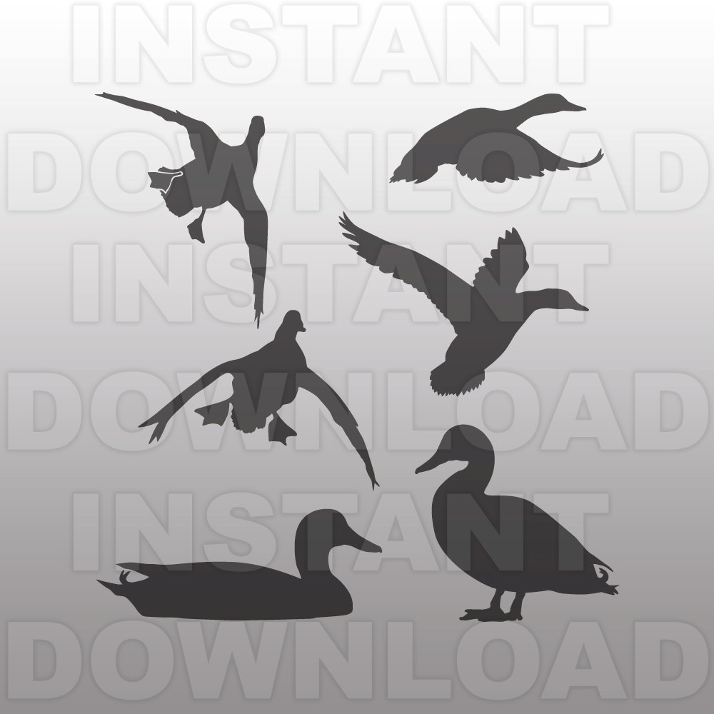 Wood Duck svg #11, Download drawings