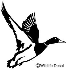 Wood Duck svg #14, Download drawings
