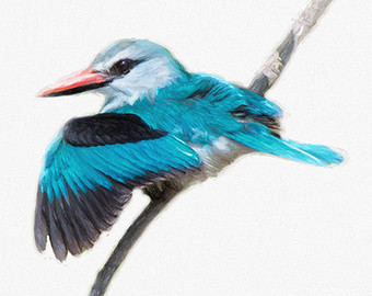 Woodland Kingfisher svg #19, Download drawings