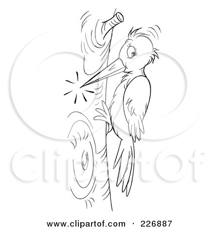 Woodpecker clipart #1, Download drawings