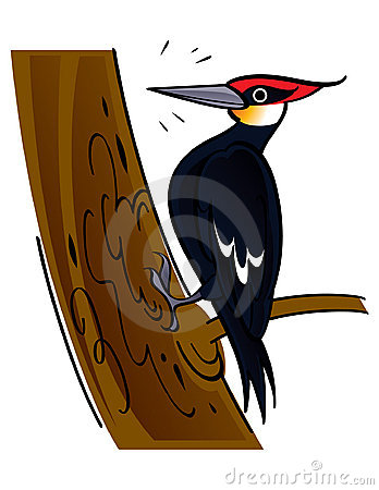Woodpecker clipart #13, Download drawings