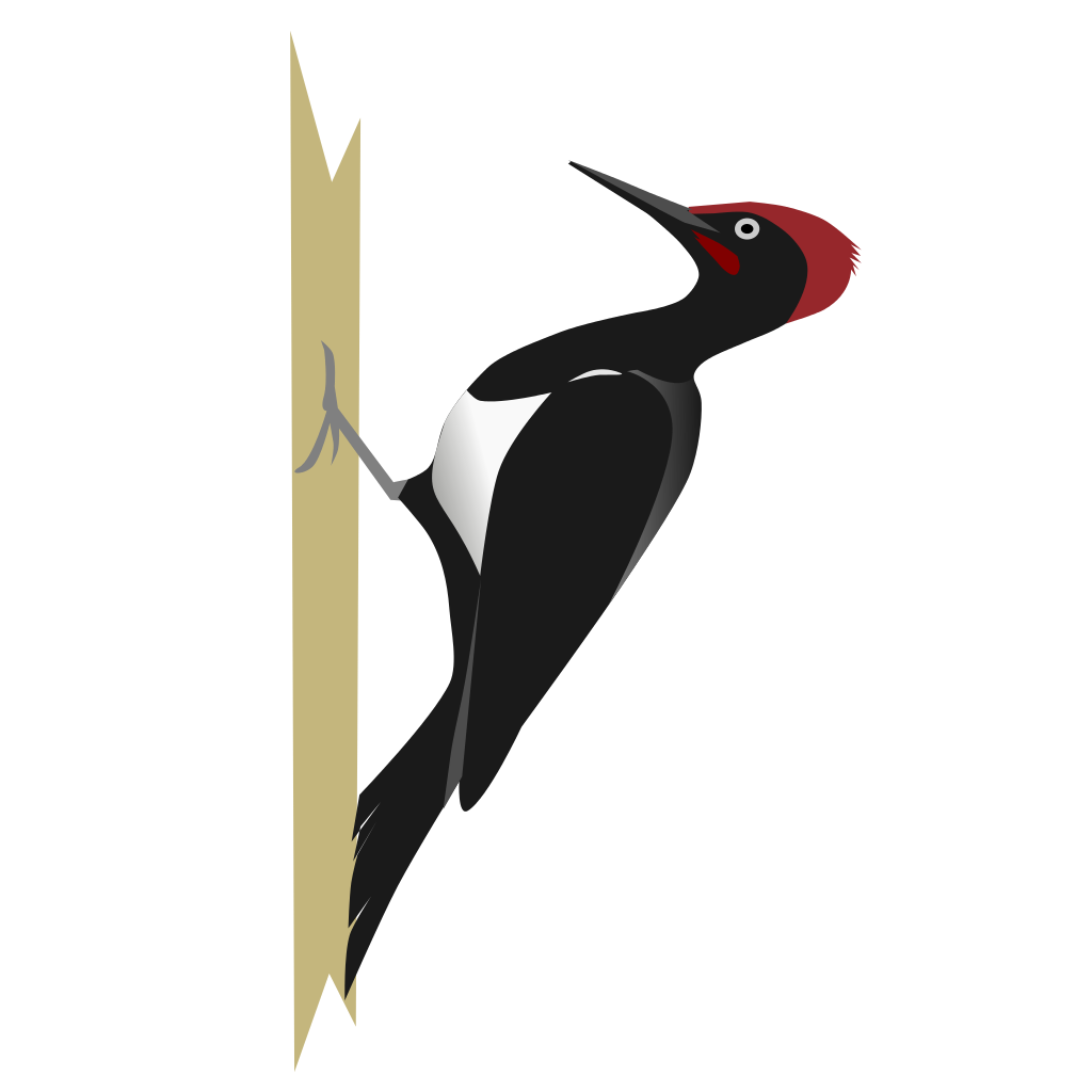 Woodpecker svg #12, Download drawings