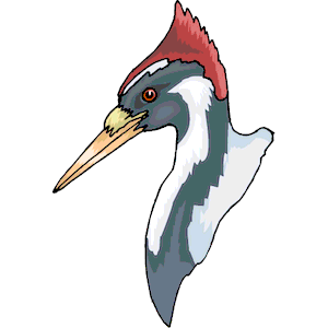 Woodpecker svg #18, Download drawings