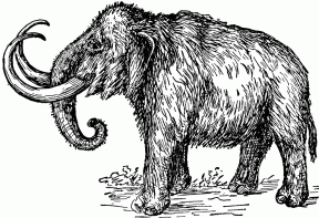Woolly Mammoth clipart #3, Download drawings