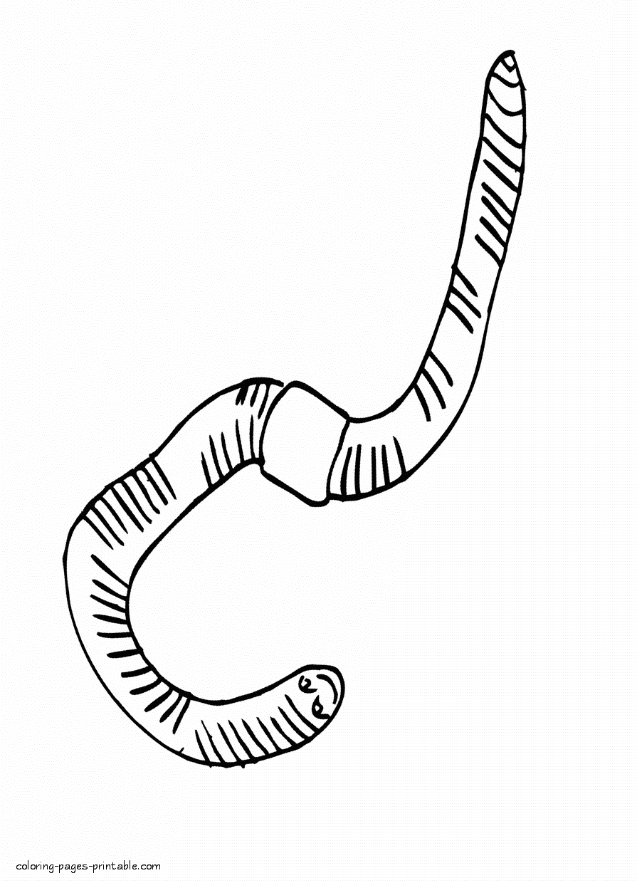 Worm coloring #12, Download drawings