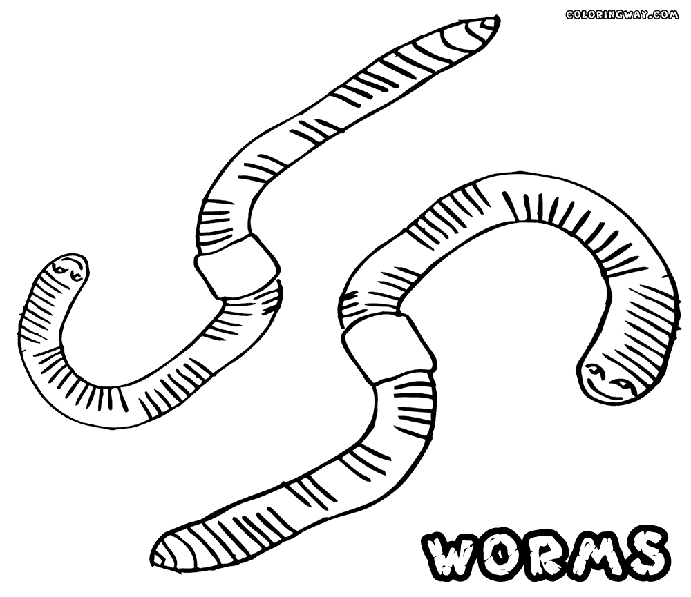 Worm coloring #10, Download drawings