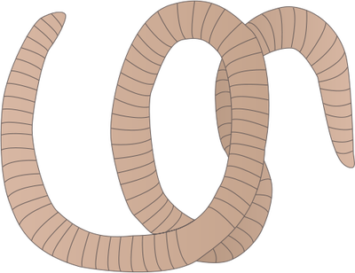 Worm svg #12, Download drawings