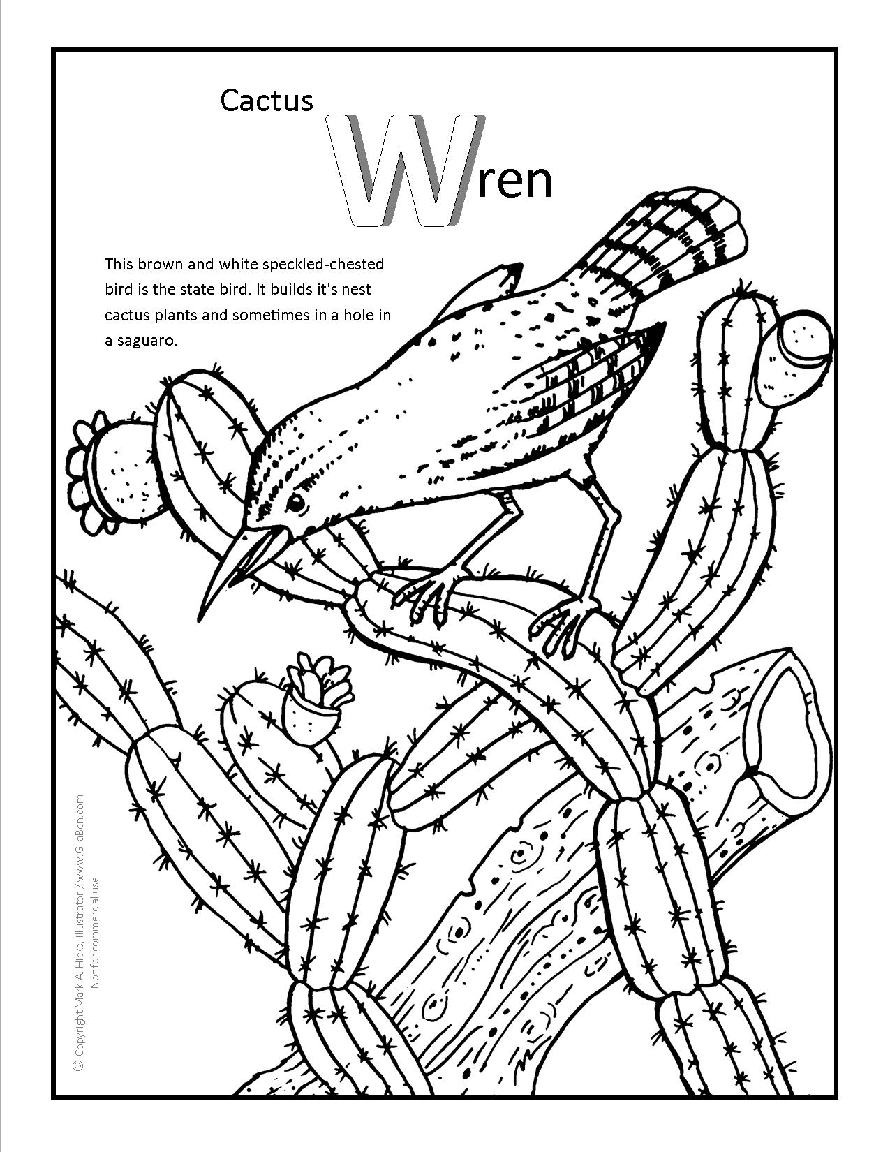 Wren coloring #2, Download drawings