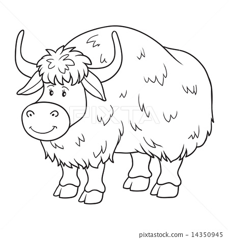 Download Yak coloring for free - Designlooter 2020 👨‍🎨